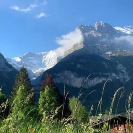 3,5 Kasa Bonaventura Grindelwald