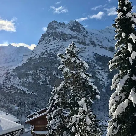 3,5 Kasa Bonaventura Appartement Grindelwald